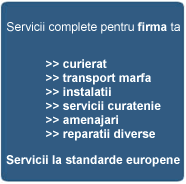 servicii curierat, transport marfa, instalatii, amenajari
